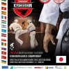 2021.12.11 - Mistrzostwa Europy WKB Kyokushin w Leżajsku