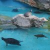 2025.07.06-16-oboz_kamena_vourla_grecja_2025_08