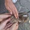 2025.07.06-16-oboz_kamena_vourla_grecja_2025_31