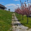 2026.05.01-03-dojo_stara_wies_03