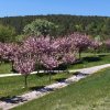 2026.05.01-03-dojo_stara_wies_18