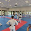 2026.05.01-03-dojo_stara_wies_23